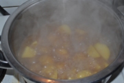 Potatoes boiling. *That is obvious, Amalija, people can see that. You don't have to describe every single thing.* Sorry, guys, just talking with myself! I do that a lot.